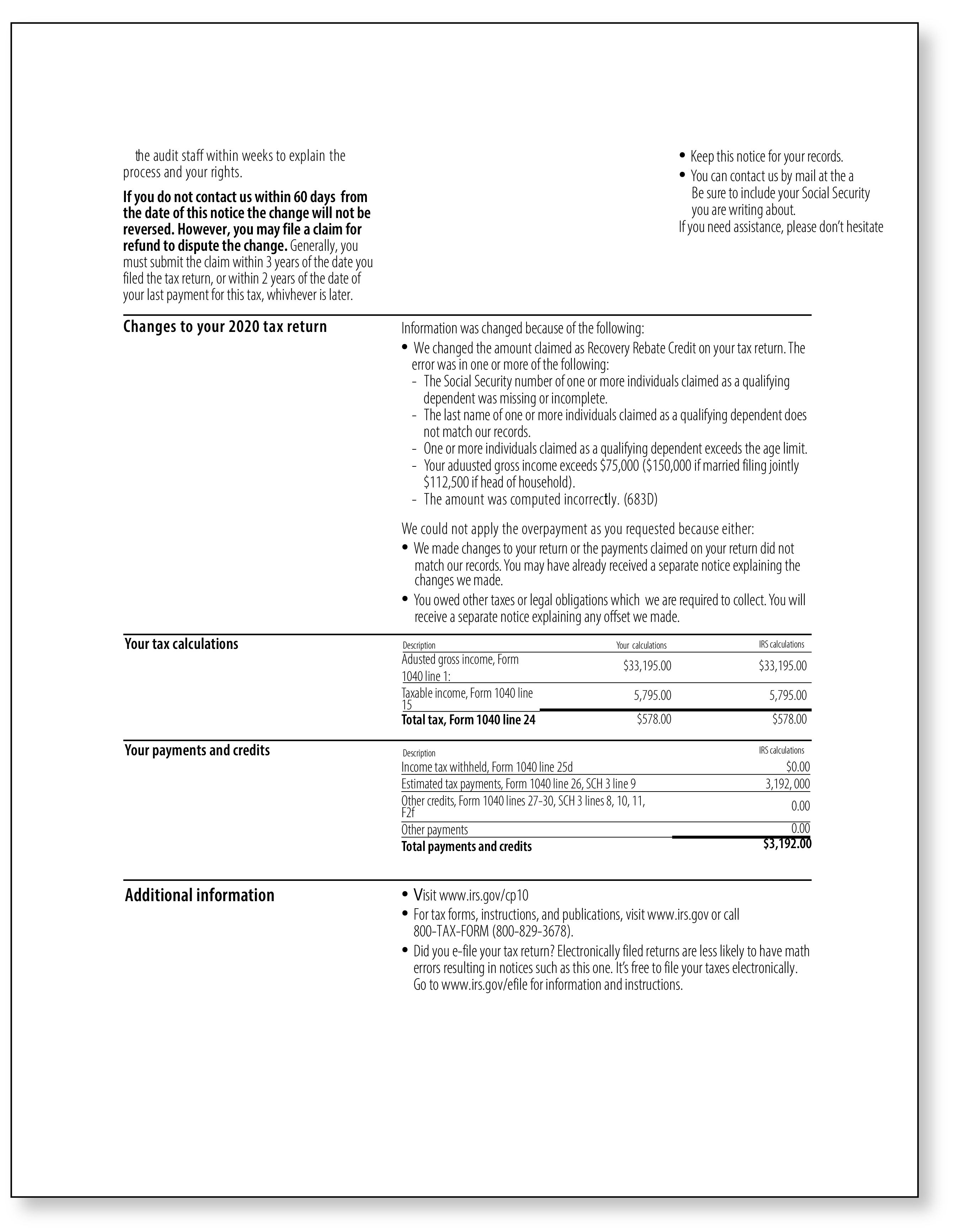 IRS Audit Letter CP10 - Sample 1