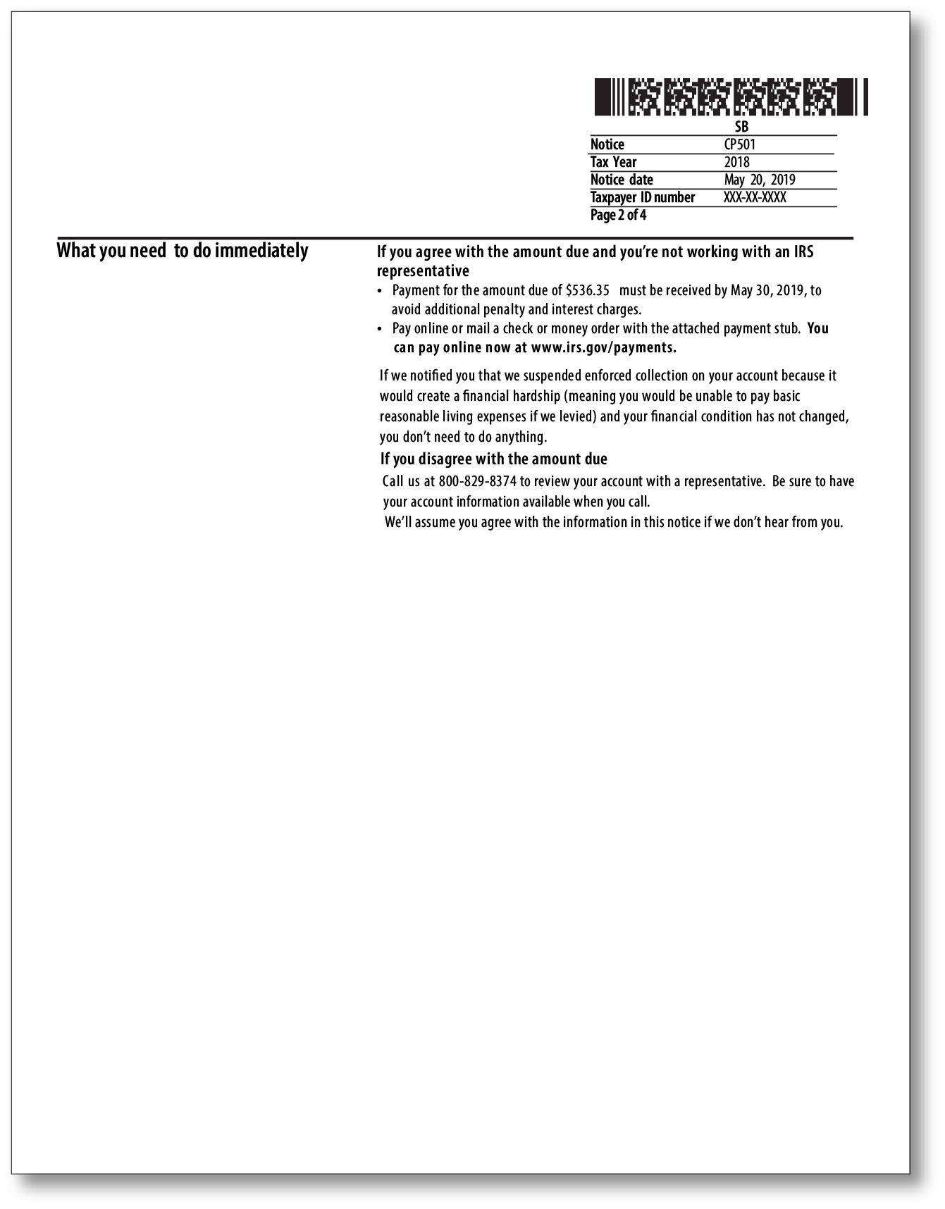 IRS Audit Letter CP501 - Sample 1