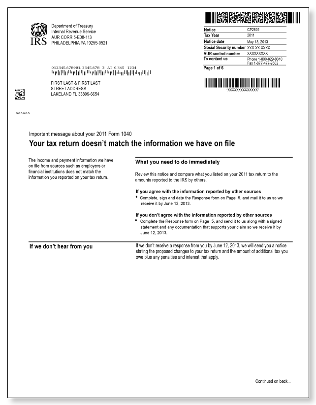 IRS Audit Letter CP2501 - Sample 2 